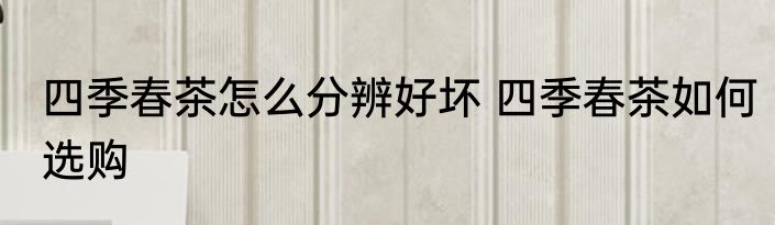 四季春茶怎么分辨好坏 四季春茶如何选购