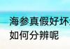 海参真假好坏怎么分辨 海参真假好坏如何分辨呢