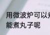 用微波炉可以煮丸子吗 用微波炉能不能煮丸子呢