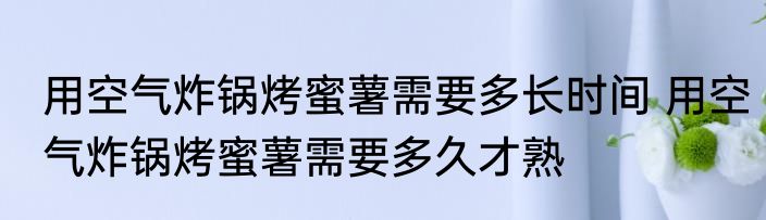 用空气炸锅烤蜜薯需要多长时间 用空气炸锅烤蜜薯需要多久才熟
