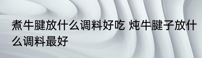 煮牛腱放什么调料好吃 炖牛腱子放什么调料最好