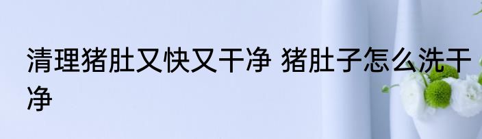 清理猪肚又快又干净 猪肚子怎么洗干净