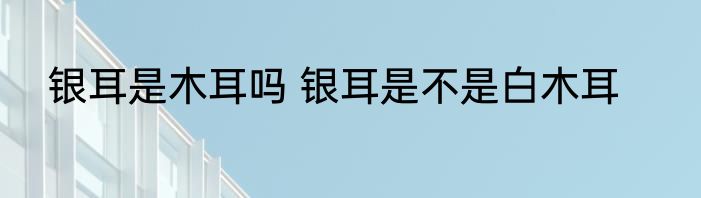 银耳是木耳吗 银耳是不是白木耳