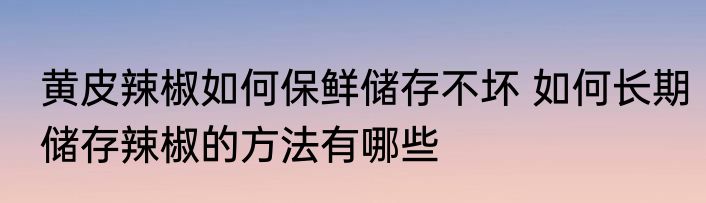 黄皮辣椒如何保鲜储存不坏 如何长期储存辣椒的方法有哪些
