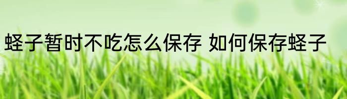 蛏子暂时不吃怎么保存 如何保存蛏子