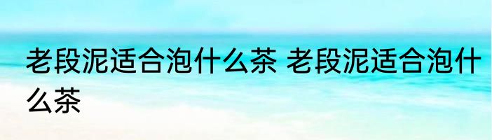 老段泥适合泡什么茶 老段泥适合泡什么茶