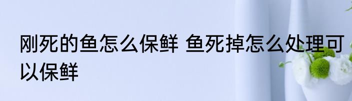 刚死的鱼怎么保鲜 鱼死掉怎么处理可以保鲜