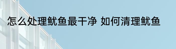 怎么处理鱿鱼最干净 如何清理鱿鱼