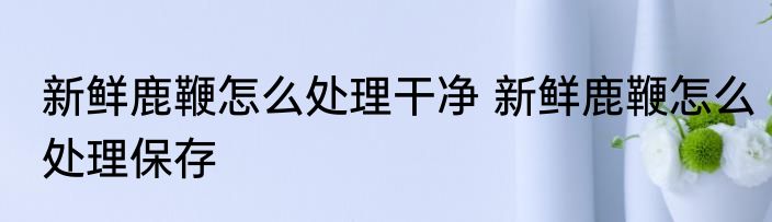 新鲜鹿鞭怎么处理干净 新鲜鹿鞭怎么处理保存