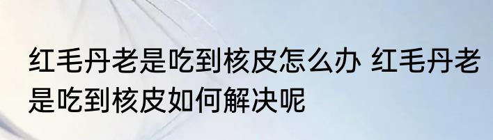 红毛丹老是吃到核皮怎么办 红毛丹老是吃到核皮如何解决呢