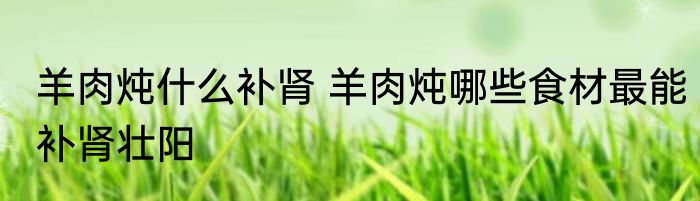 羊肉炖什么补肾 羊肉炖哪些食材最能补肾壮阳