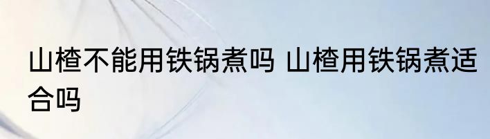 山楂不能用铁锅煮吗 山楂用铁锅煮适合吗