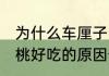为什么车厘子比樱桃好吃 车厘子比樱桃好吃的原因介绍