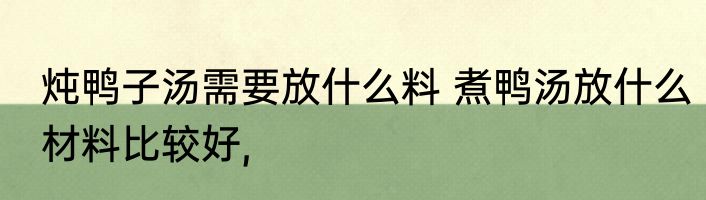 炖鸭子汤需要放什么料 煮鸭汤放什么材料比较好,