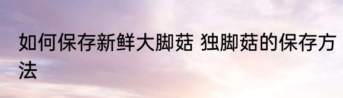 如何保存新鲜大脚菇 独脚菇的保存方法