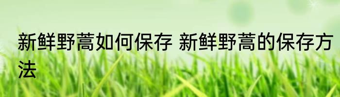 新鲜野蒿如何保存 新鲜野蒿的保存方法
