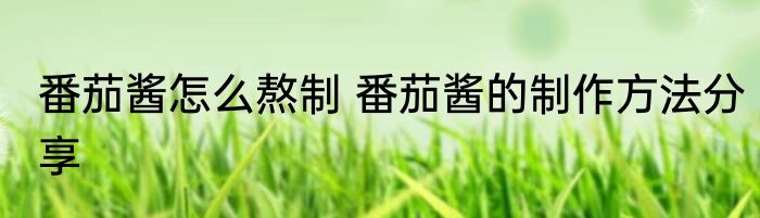 番茄酱怎么熬制 番茄酱的制作方法分享