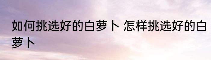 如何挑选好的白萝卜 怎样挑选好的白萝卜