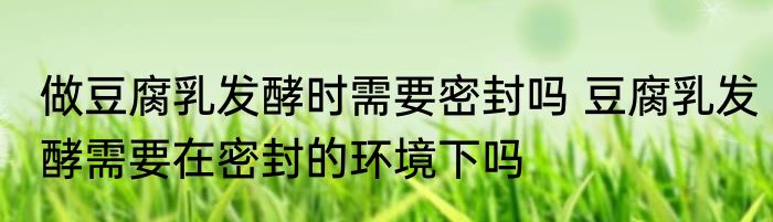 做豆腐乳发酵时需要密封吗 豆腐乳发酵需要在密封的环境下吗