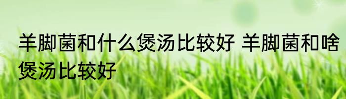 羊脚菌和什么煲汤比较好 羊脚菌和啥煲汤比较好