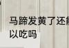 马蹄发黄了还能吃吗 马蹄发黄了还可以吃吗