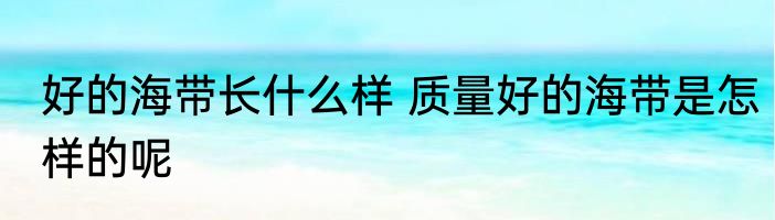 好的海带长什么样 质量好的海带是怎样的呢