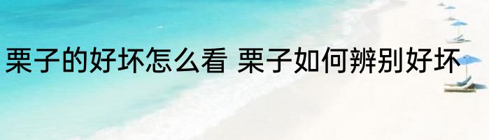 栗子的好坏怎么看 栗子如何辨别好坏
