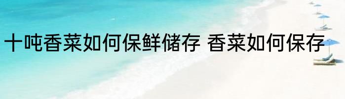 十吨香菜如何保鲜储存 香菜如何保存