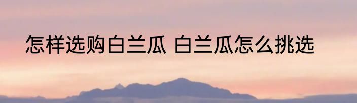 怎样选购白兰瓜 白兰瓜怎么挑选