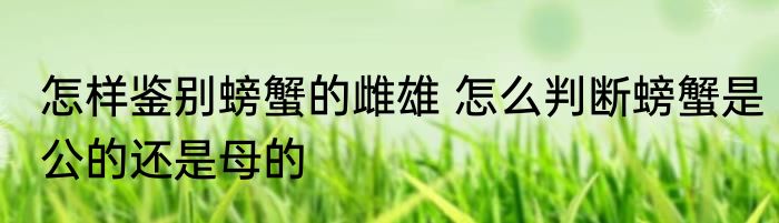 怎样鉴别螃蟹的雌雄 怎么判断螃蟹是公的还是母的