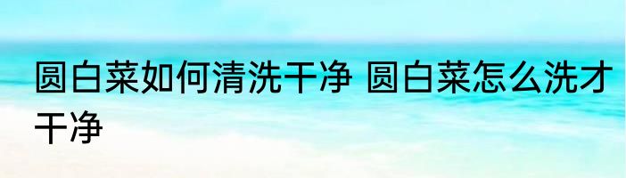 圆白菜如何清洗干净 圆白菜怎么洗才干净