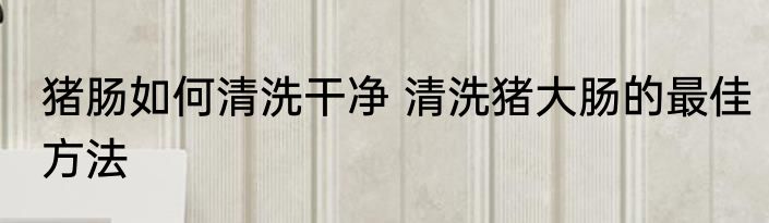 猪肠如何清洗干净 清洗猪大肠的最佳方法
