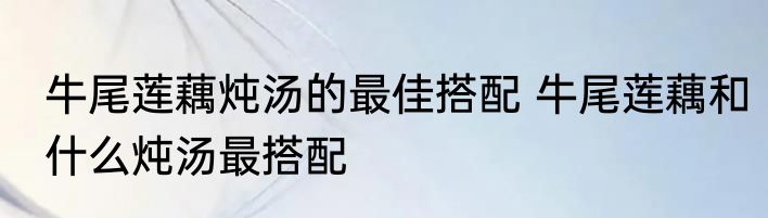 牛尾莲藕炖汤的最佳搭配 牛尾莲藕和什么炖汤最搭配
