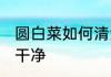 圆白菜如何清洗干净 圆白菜怎么洗才干净