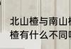 北山楂与南山楂的区别 北山楂与南山楂有什么不同呢