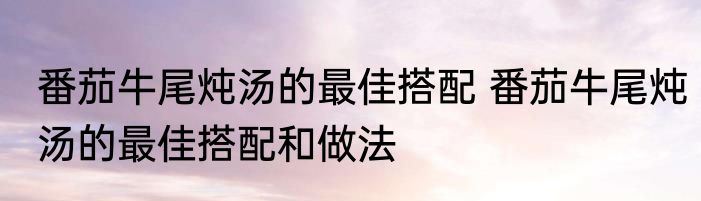 番茄牛尾炖汤的最佳搭配 番茄牛尾炖汤的最佳搭配和做法