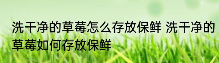洗干净的草莓怎么存放保鲜 洗干净的草莓如何存放保鲜