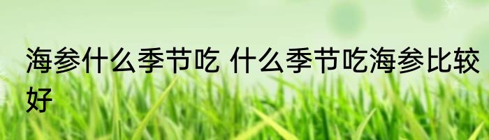 海参什么季节吃 什么季节吃海参比较好