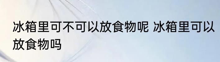 冰箱里可不可以放食物呢 冰箱里可以放食物吗