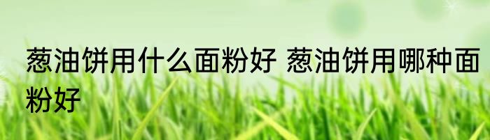 葱油饼用什么面粉好 葱油饼用哪种面粉好