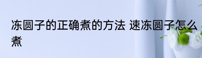 冻圆子的正确煮的方法 速冻圆子怎么煮