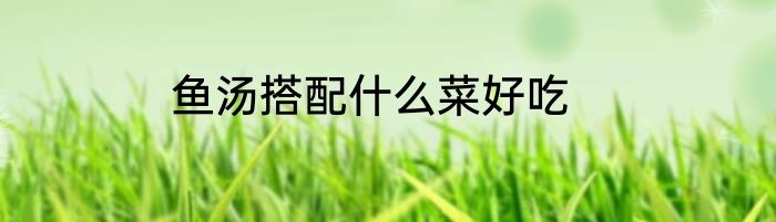 鱼汤搭配什么菜好吃
