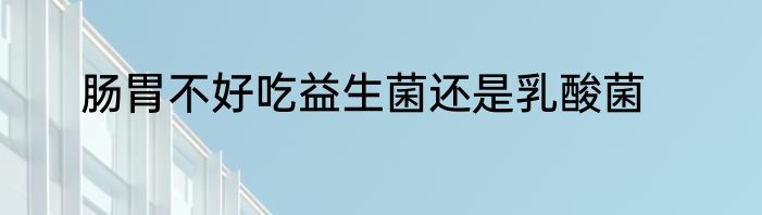 肠胃不好吃益生菌还是乳酸菌