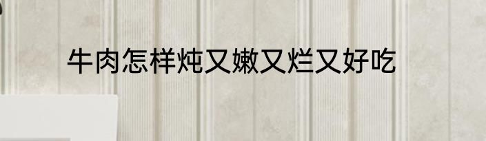 牛肉怎样炖又嫩又烂又好吃