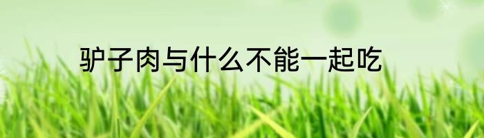 驴子肉与什么不能一起吃