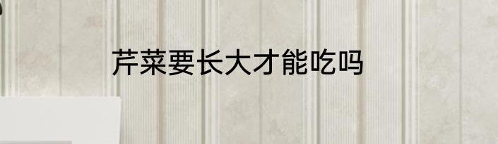 芹菜要长大才能吃吗