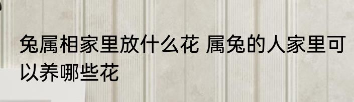 兔属相家里放什么花 属兔的人家里可以养哪些花