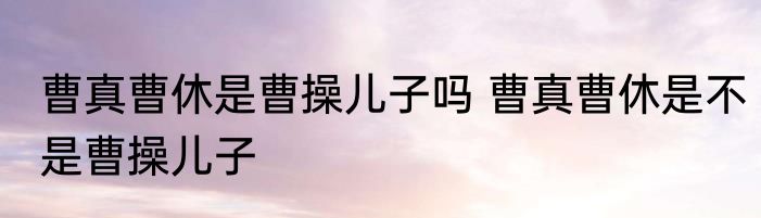 曹真曹休是曹操儿子吗 曹真曹休是不是曹操儿子