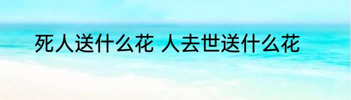 死人送什么花 人去世送什么花