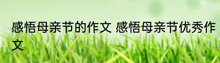 感悟母亲节的作文 感悟母亲节优秀作文